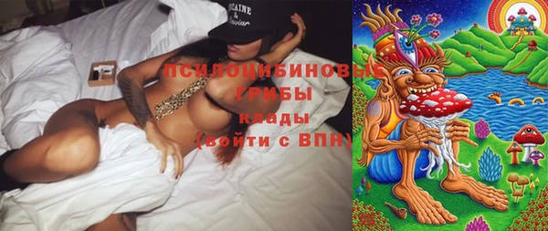 mdpv Вяземский