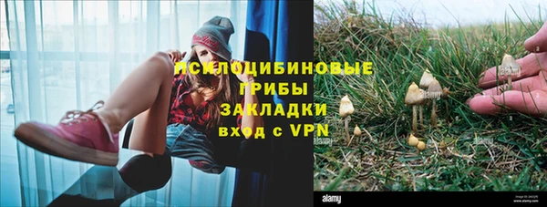 ГАЛЛЮЦИНОГЕННЫЕ ГРИБЫ Вязьма
