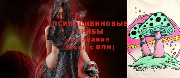 mdpv Вяземский