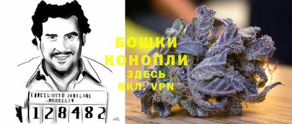 ГАЛЛЮЦИНОГЕННЫЕ ГРИБЫ Вязьма