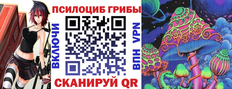 Галлюциногенные грибы Psilocybe  Купить  Новочебоксарск 
